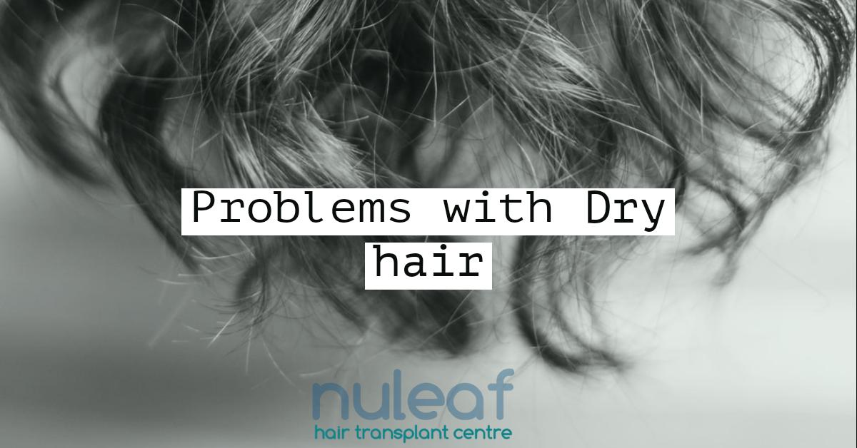 Dry Hair? How do avoid hair loss and breakage? - Nuleaf Hair Transplant  Centre, Pune